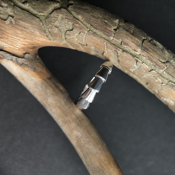 Серебряное кольцо без камней