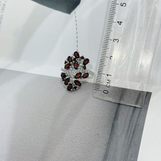 Серебряное кольцо с гранатом 4.46ct