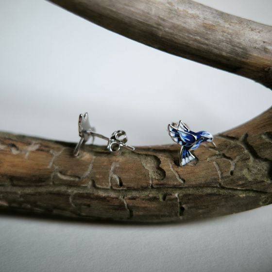 Серебряные серьги с емаллю